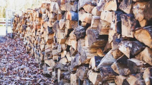 Як законно заготовити дрова: де купити, куди звертатися та які дозволи потрібні